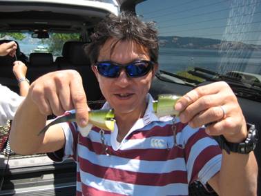 Broken Custom Swim Bait